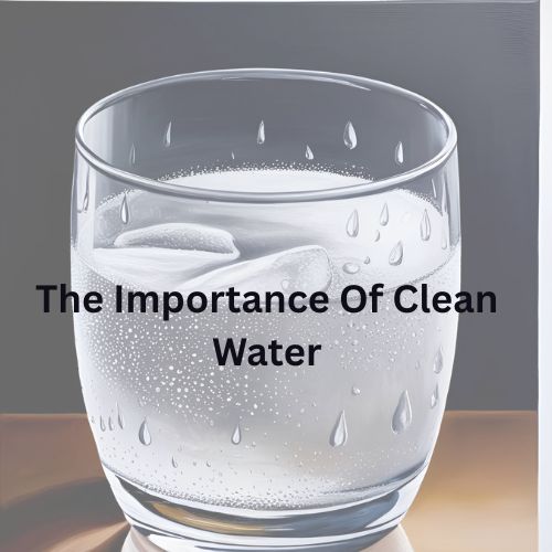 Importance Of Clean Water